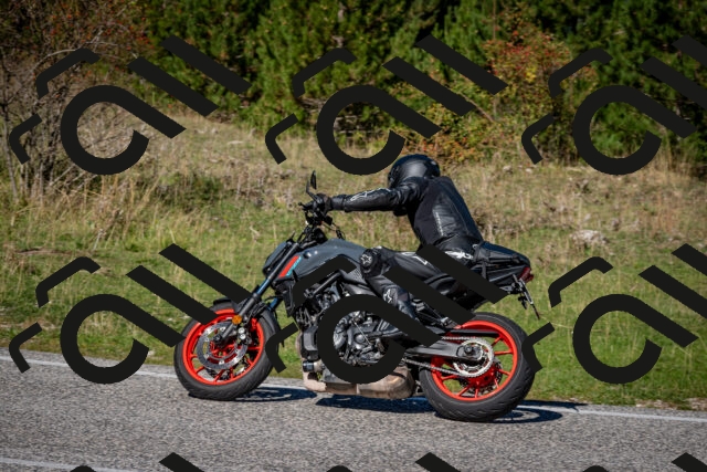 202509271150-DSC_6617_c2