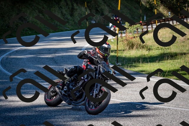 202509271158-DSC_6635_c2