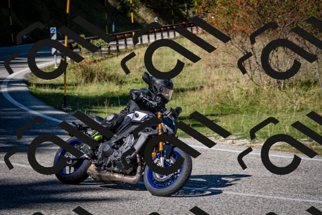 202509271158-DSC_6638_c2