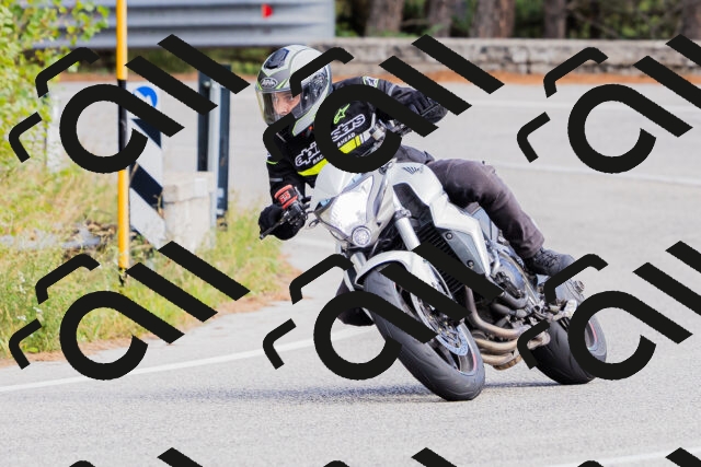 202509271500-_04A0319_c3