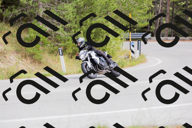 202509271500-_04A0320_c3