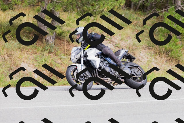 202509271500-_04A0321_c3