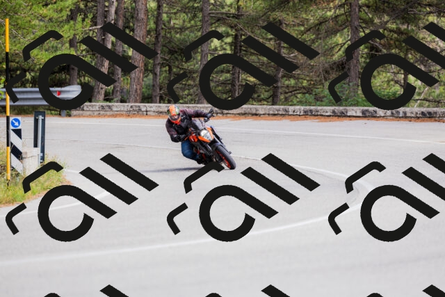 202509271501-_04A0323_c3