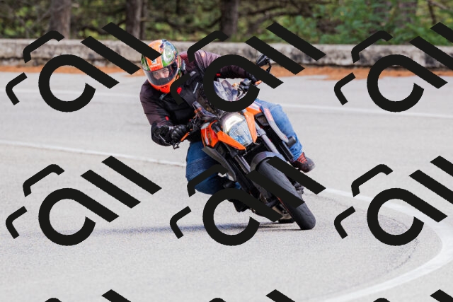 202509271501-_04A0325_c3