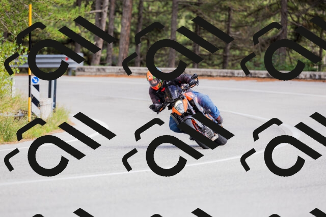 202509271501-_04A0327_c3