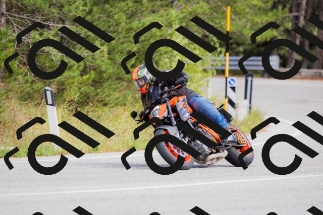 202509271501-_04A0328_c3