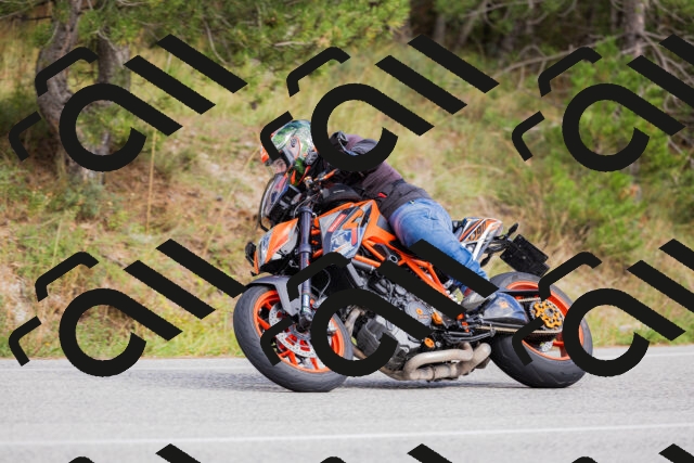 202509271501-_04A0329_c3