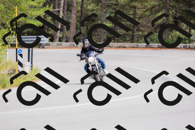 202509271501-_04A0332_c3