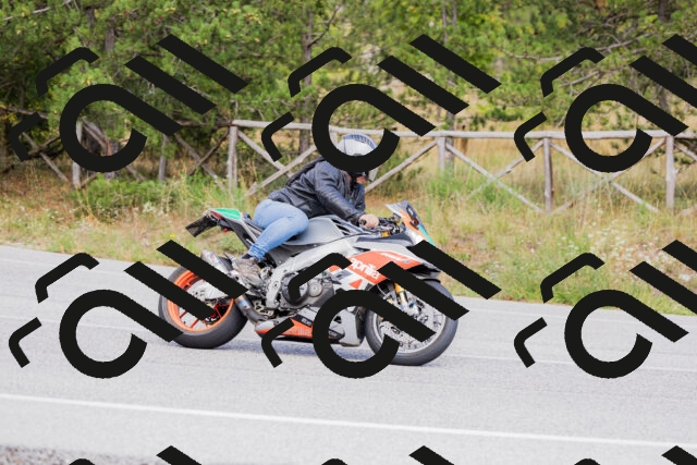 202509271504-_04A0345_c3