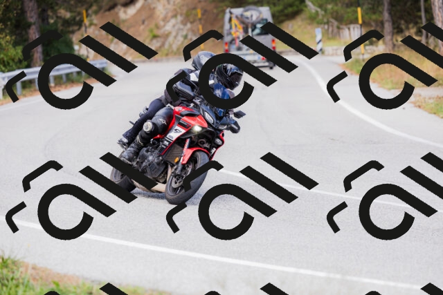 202509271505-_04A0356_c3