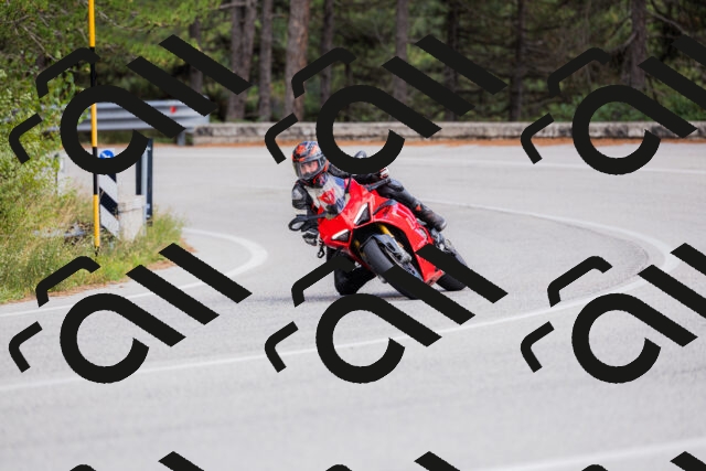 202509271506-_04A0377_c3