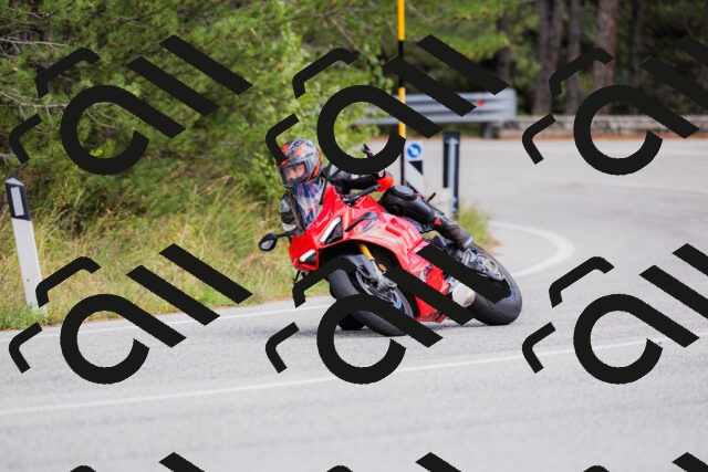 202509271506-_04A0378_c3