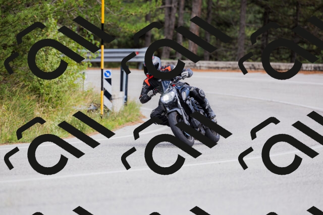 202509271507-_04A0386_c3