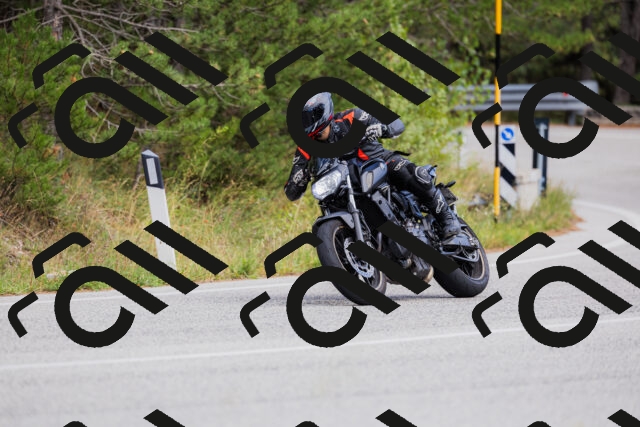 202509271507-_04A0387_c3