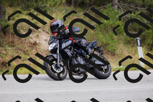 202509271507-_04A0388_c3