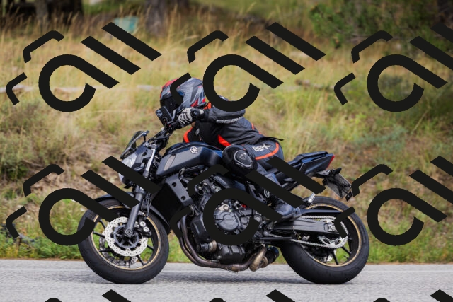 202509271507-_04A0389_c3