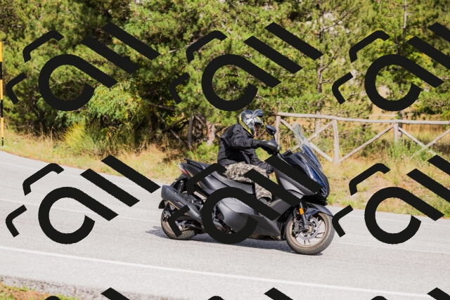 202509271512-_04A0412_c3