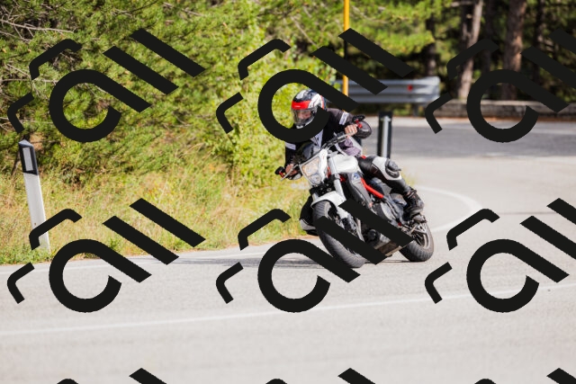 202509271516-_04A0436_c3