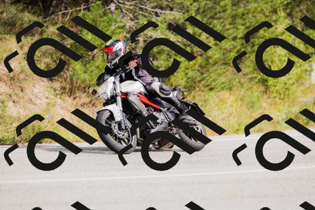 202509271516-_04A0437_c3