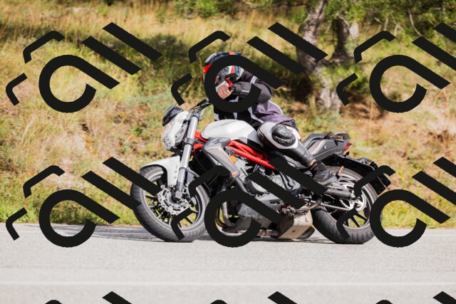 202509271516-_04A0438_c3