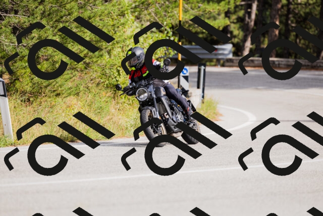 202509271518-_04A0444_c3