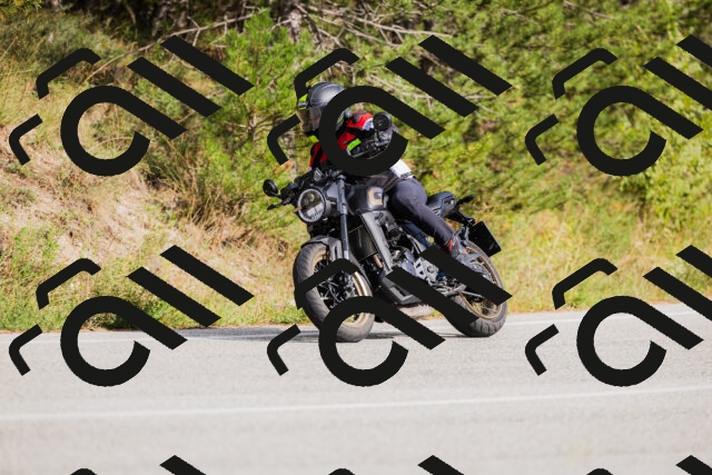 202509271518-_04A0445_c3