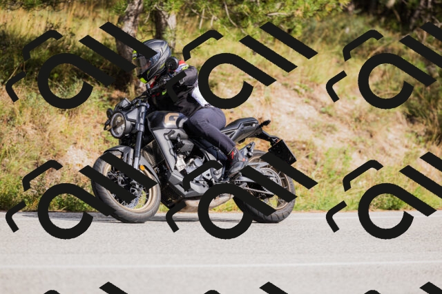 202509271518-_04A0446_c3