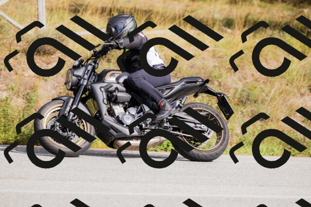 202509271518-_04A0447_c3