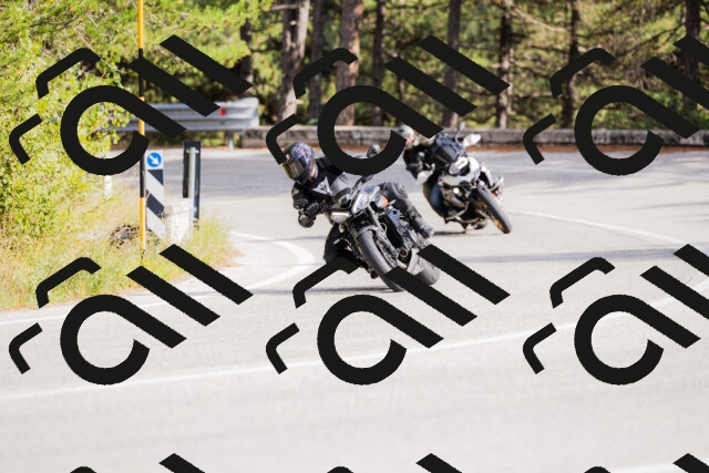 202509271520-_04A0452_c3