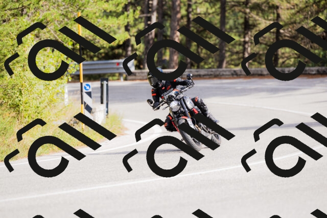 202509271520-_04A0459_c3