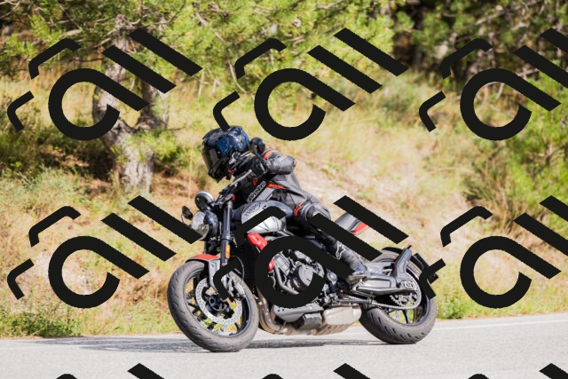 202509271520-_04A0462_c3