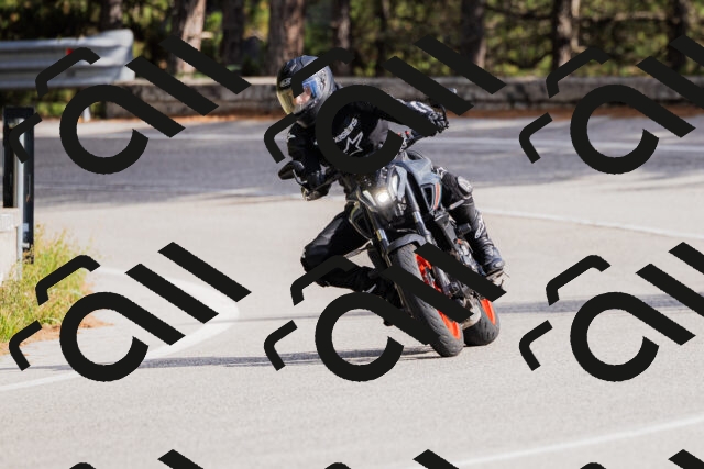 202509271520-_04A0464_c3