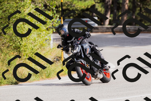 202509271520-_04A0465_c3