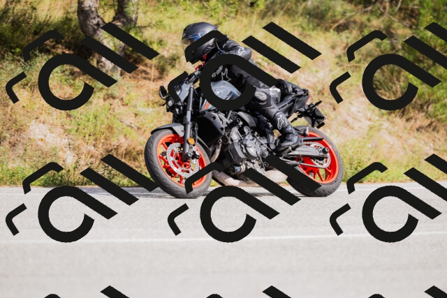 202509271520-_04A0467_c3