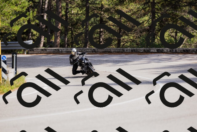 202509271522-_04A0470_c3