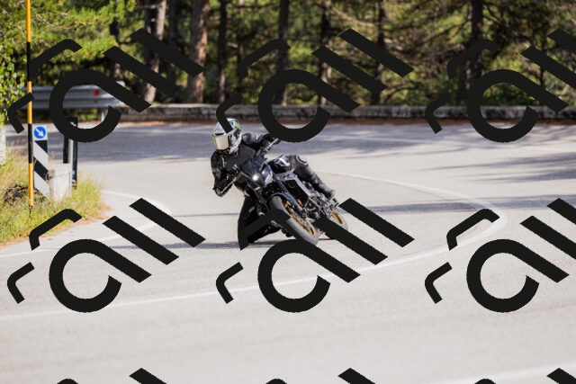 202509271522-_04A0473_c3