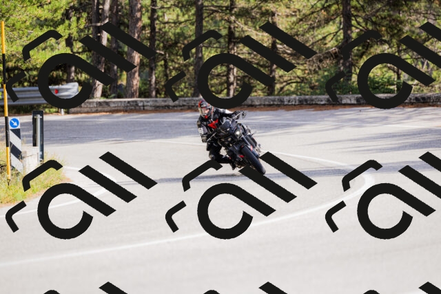 202509271522-_04A0479_c3