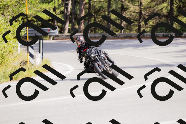 202509271522-_04A0481_c3