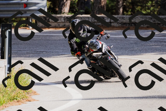 202509271523-_04A0486_c3