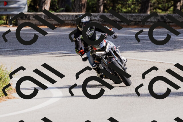 202509271523-_04A0487_c3