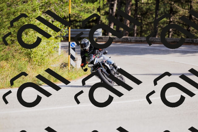 202509271523-_04A0490_c3