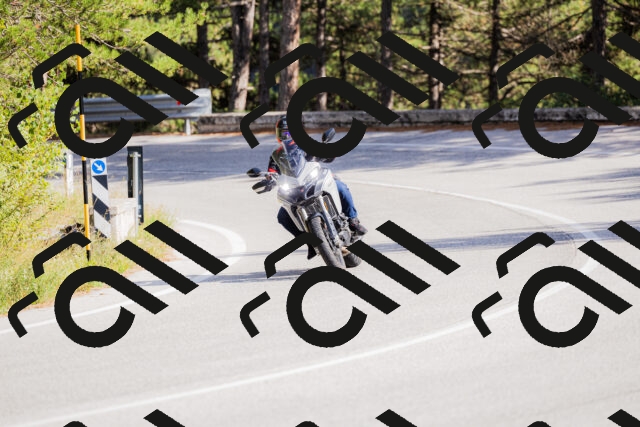 202509271525-_04A0498_c3