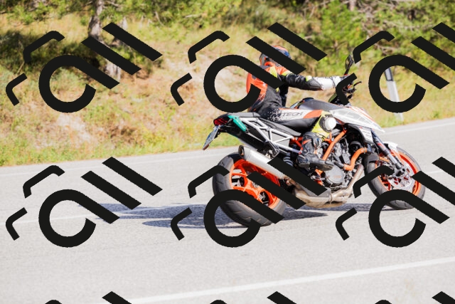 202509271525-_04A0502_c3