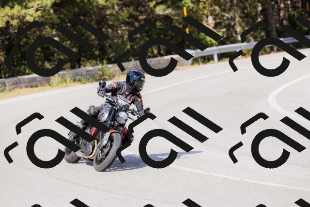 202509271530-_04A0507_c3