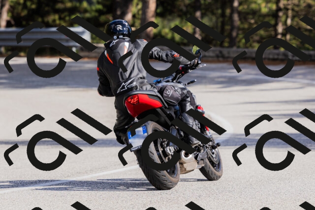 202509271530-_04A0513_c3