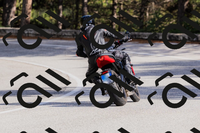 202509271530-_04A0514_c3