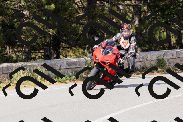 202509271530-_04A0515_c3