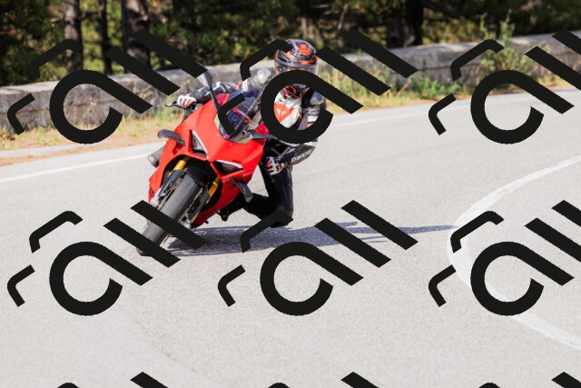 202509271530-_04A0517_c3