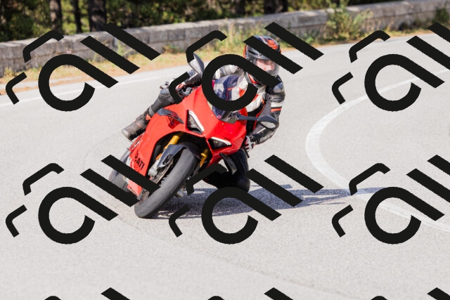 202509271530-_04A0518_c3