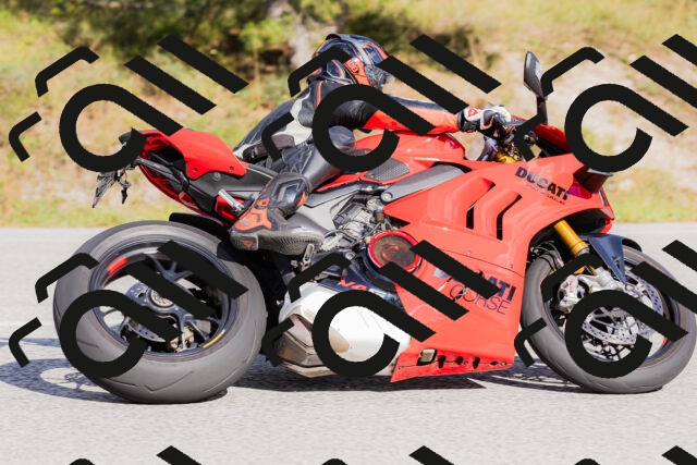 202509271530-_04A0521_c3